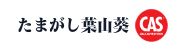 たまがし葉山葵リンク